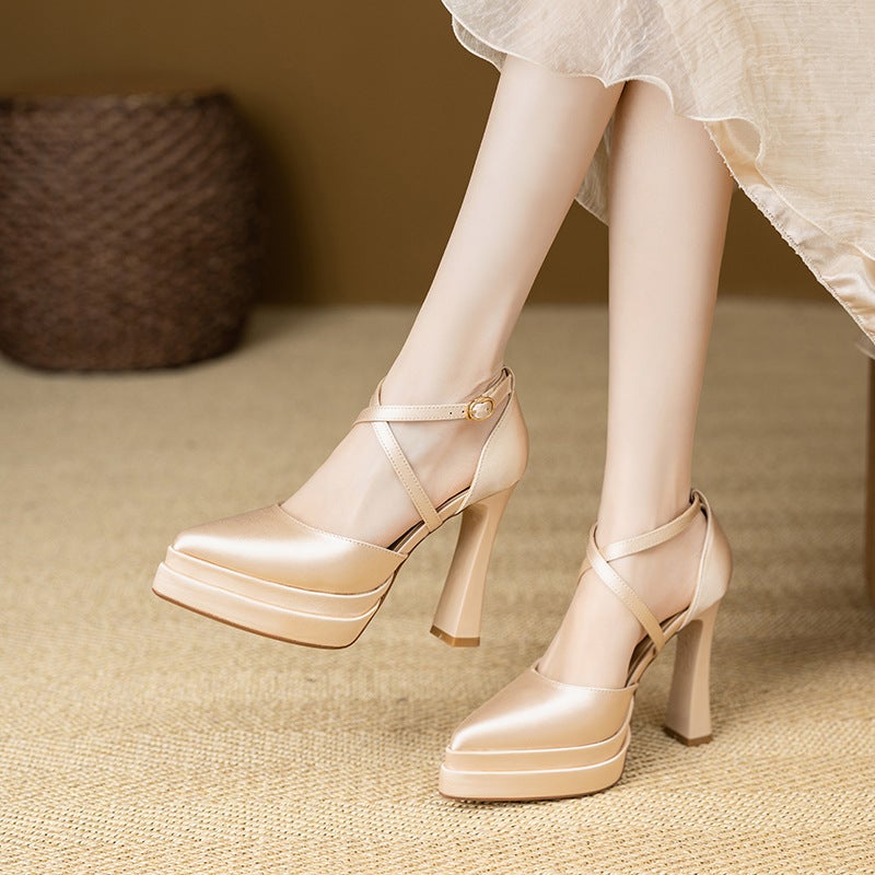 Platform Platform Fashion Single Shoes Pointed Toe Deep Mouth Side Zipper For Small Height Height Increasing Elegant Comfortable Super High Heels - Image 1